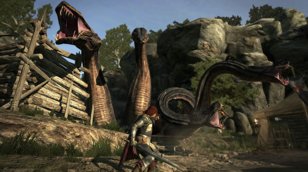 Dragon's Dogma