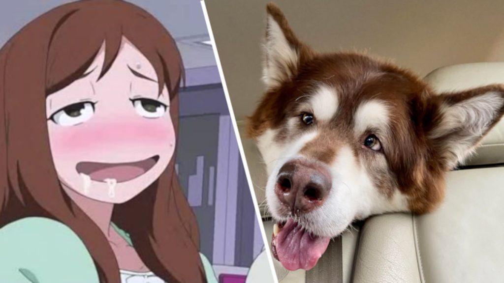 ¿Qué es ahegao en anime y por qué no deberías saberlo?