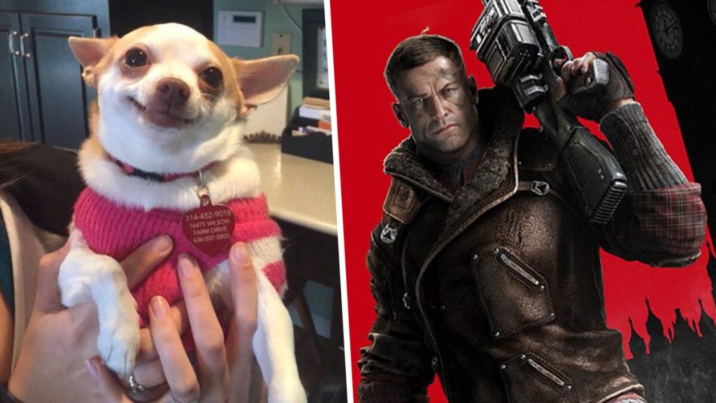 e3, xbox, microsoft, bethesda