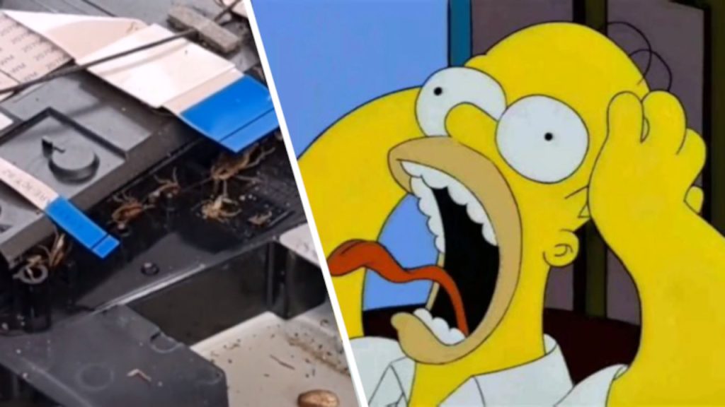 Encuentran asqueroso nido de cucarachas en un PlayStation que reparaban