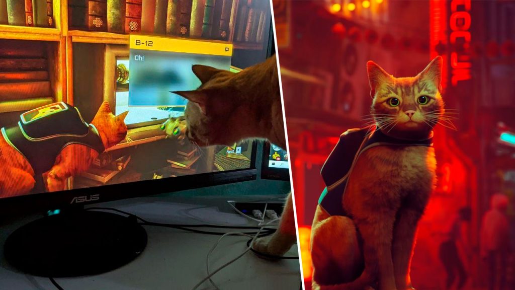 Stray gatitos viendo como juegas