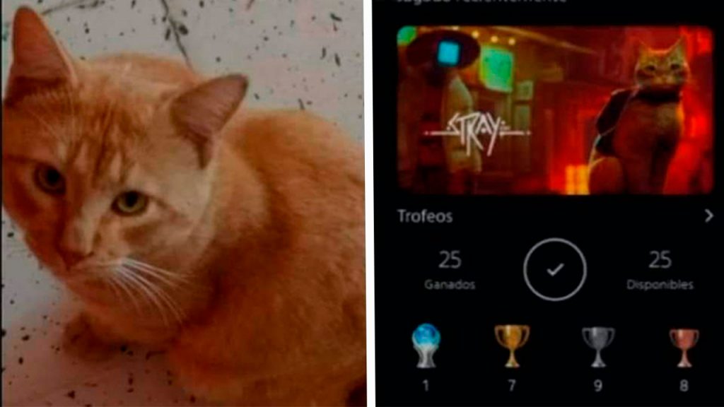 Un hombre dedicó el platino de Stray aa su gato