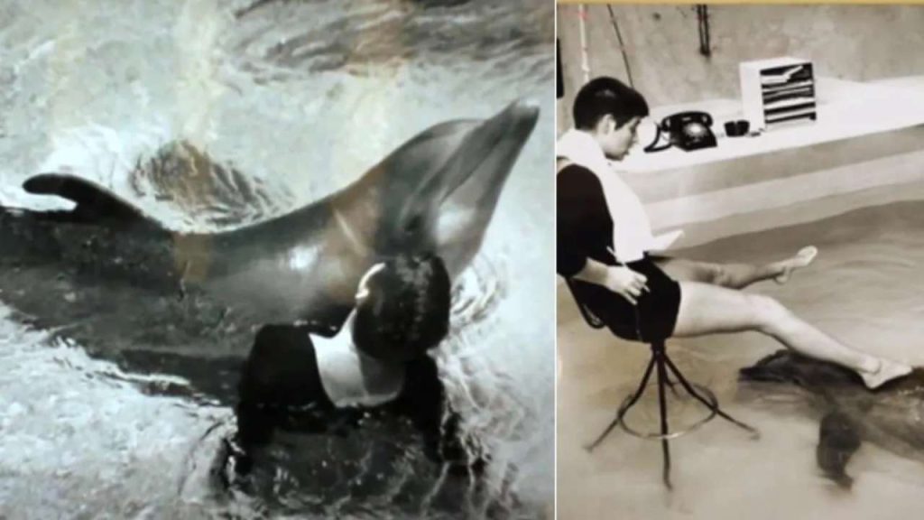 margaret howe lovatt