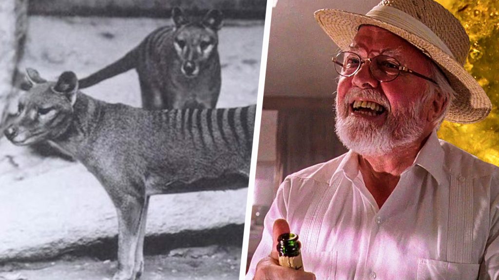 El tigre de Tasmania podría volver de la extinción