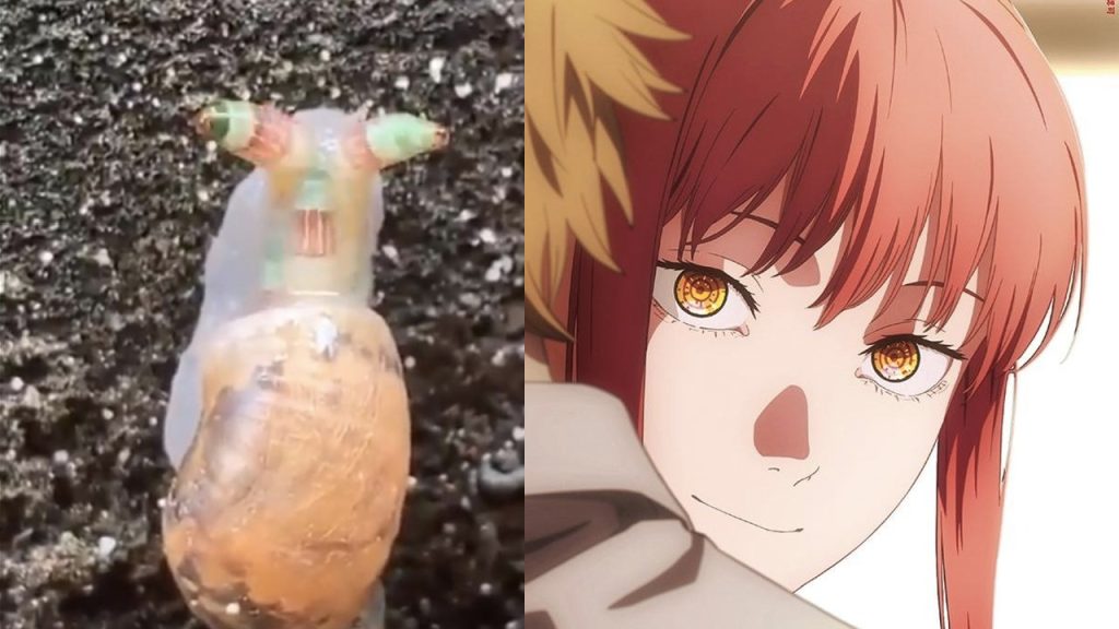 Chainsaw Man: el misterio del opening es revelado.