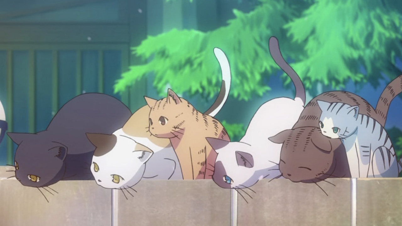 Tu mascota ideal es…