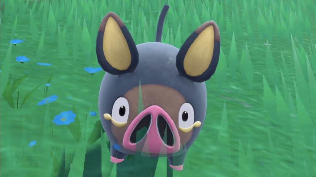 Lechonk asaltó la página oficial de Pokémon en el día de los inocentes.