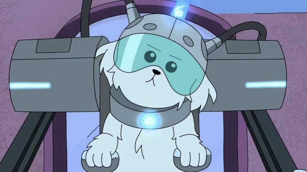 Estudio sugiere que Rick y Morty es una serie relajante para los perros.