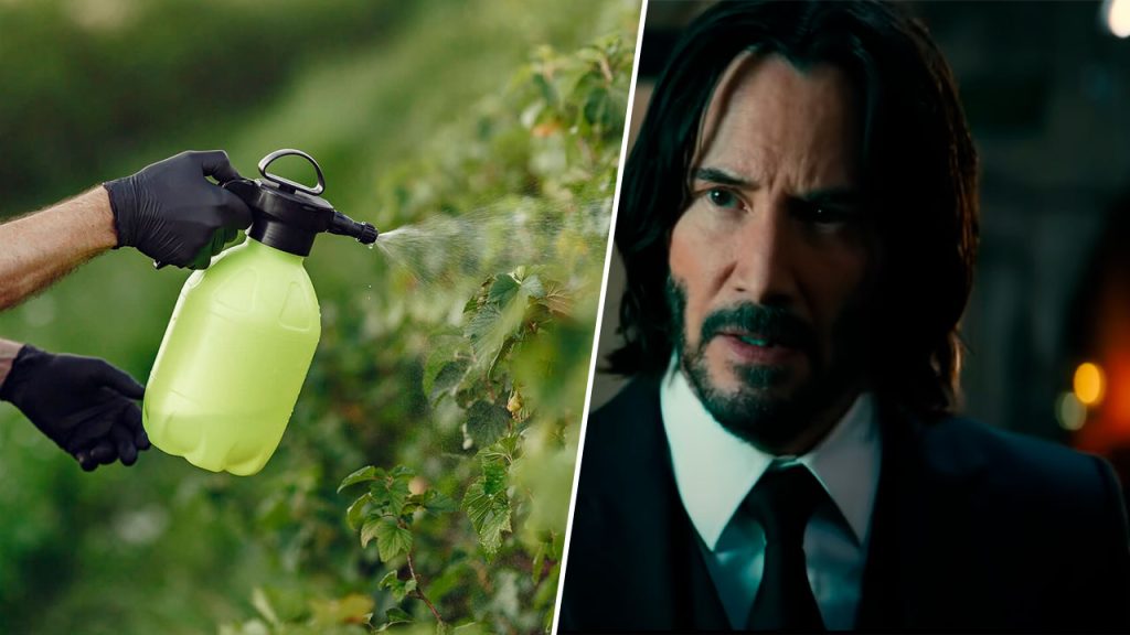 Científicos usan nombre de John Wick para un muy efectivo fungicida