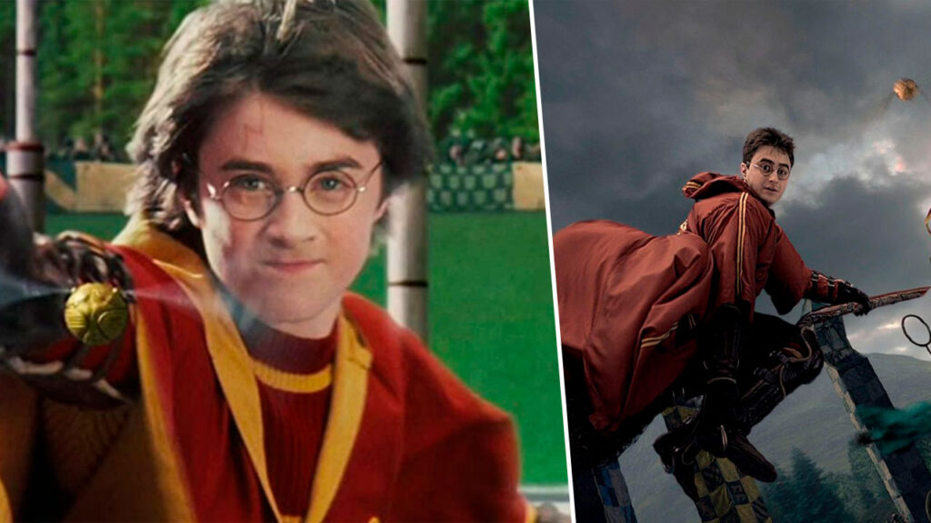 Harry Potter: Campeones de Quidditch