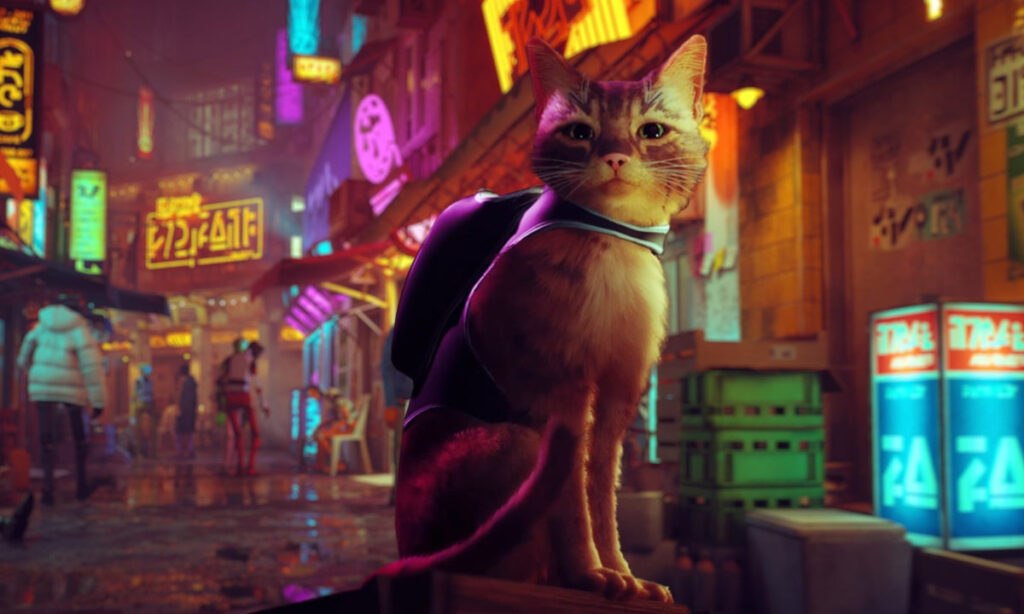 Stray, el popular título exclusivo de PlayStation podría llegar a Xbox el 19 de julio de 2023. Dependiendo de los contratos de exclusividad.