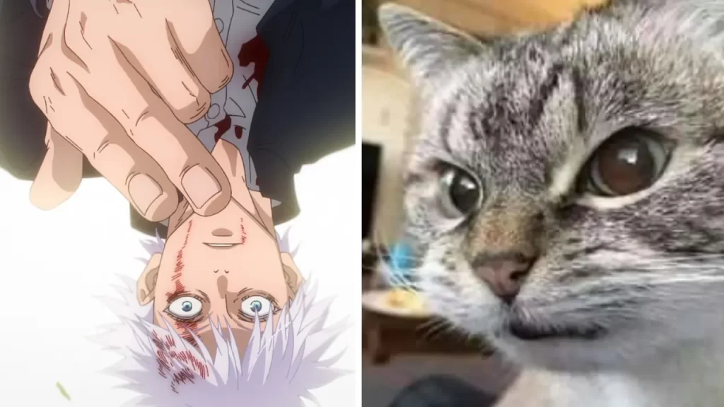 Piratería en la industria del manga