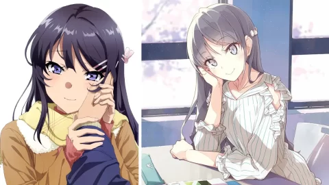 Se reveló ventana de lanzamiento del anime Seishun Buta Yarou wa Santa Claus no Yume wo Mienai.