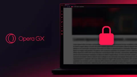 Opera GX seguridad