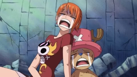 Fotograma One Piece