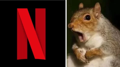 Netflix tiene un top 10 de anime más visto y sus títulos más vistos son shōnen.